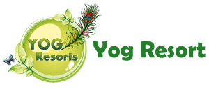 A Wellness Retreat